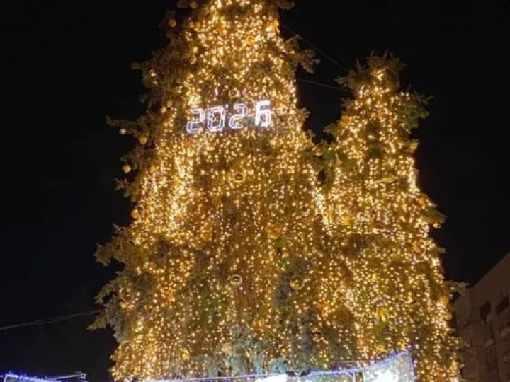 У Луцьку засвітили головні ялинки міста