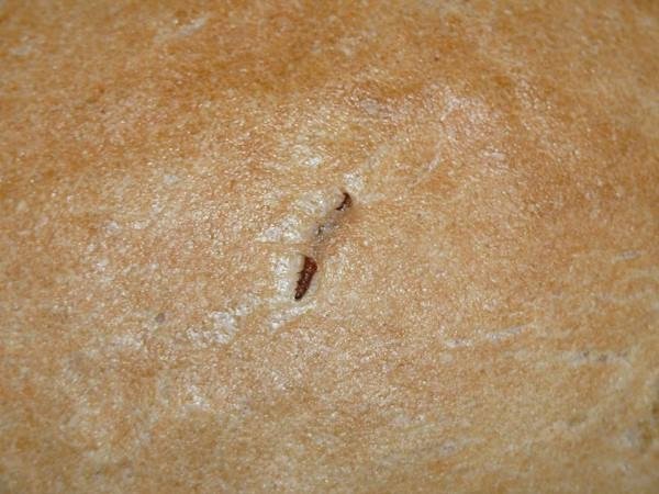 Лучанка придбала хліб із  хробаком. ФОТО