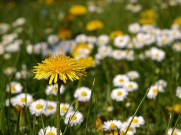 Погода у Луцьку на завтра, 20 травня