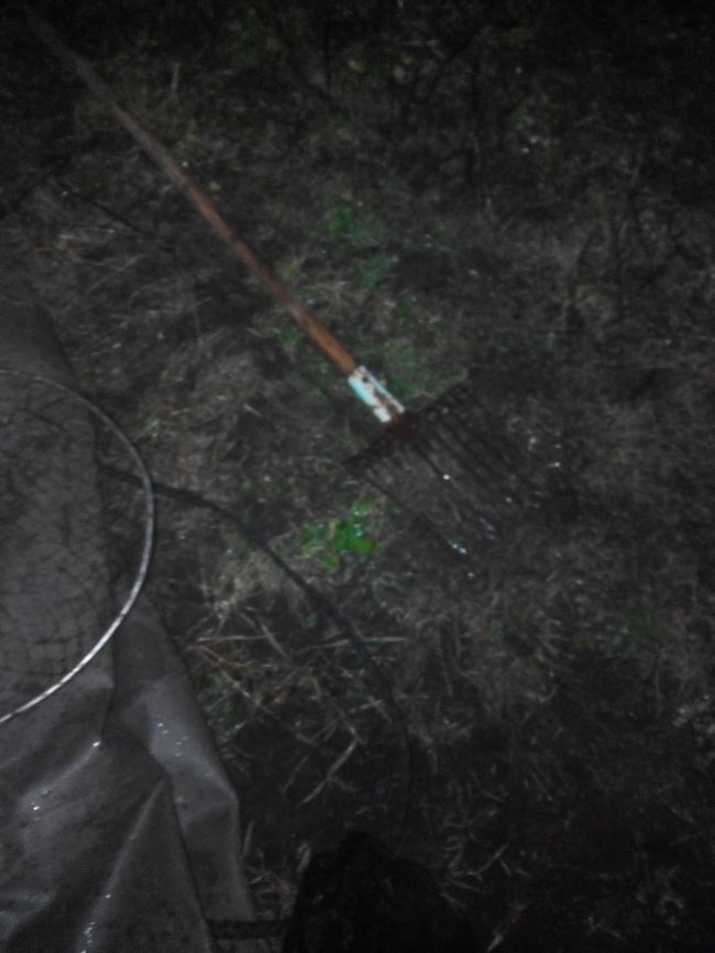 Вилучені сітки, човни, підсаки: як на Волині «воюють» з браконьєрами. ФОТО