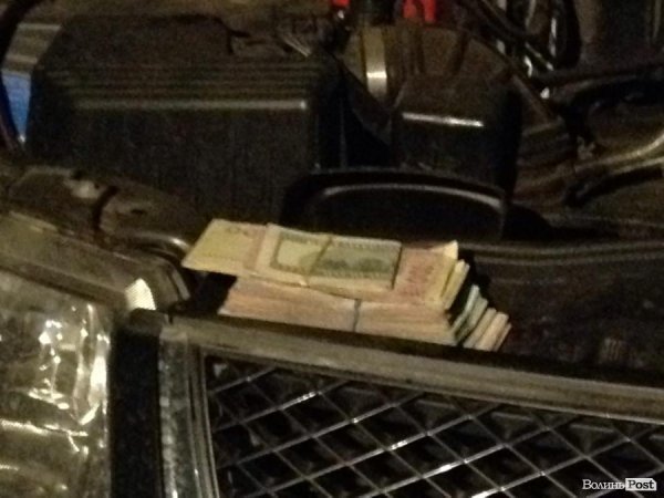 На Маневиччині затримали близько сотні бурштинокопачів. ФОТО