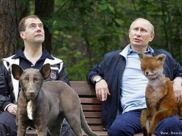 Собака і Путін: фотожаби
