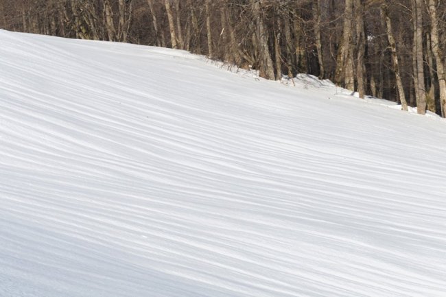 Карпати в очікуванні весни на світлинах волинського фотографа