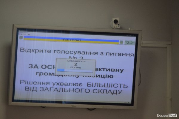 Луцькі школярі «одягли шкуру» депутатів. ФОТО 