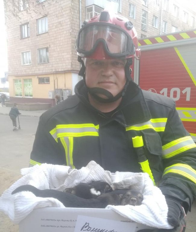 Луцькі рятувальники визволили з-під землі 7 цуценят. ВІДЕО