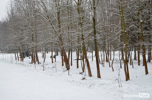 Луцьк засипало снігом. ФОТО
