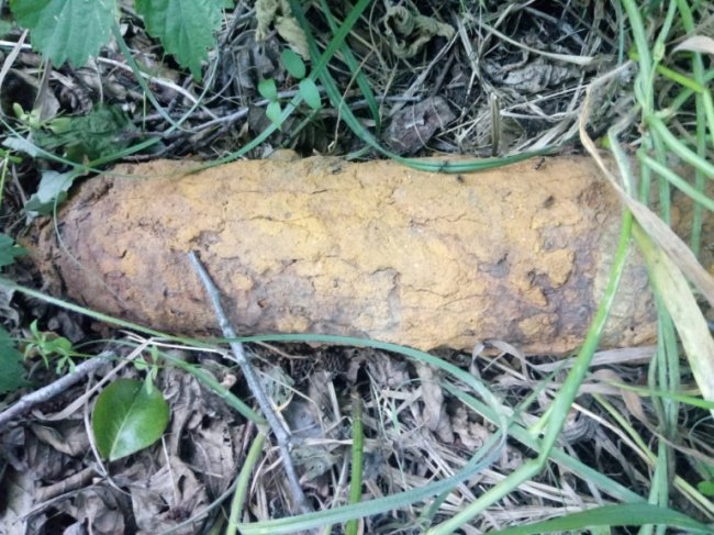 Волинській сапери знешкодили міни та боєприпаси часів минулих воєн. ФОТО