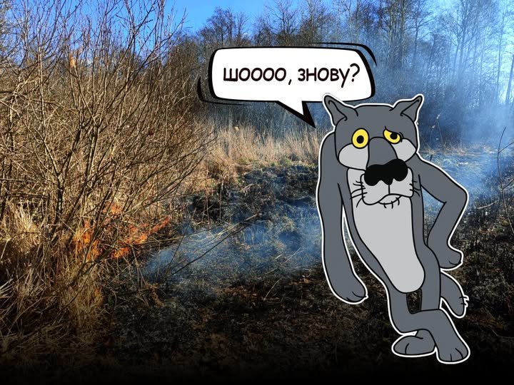 Ще тільки сонце блиснуло, а на Волині — перша пожежа сухої трави 