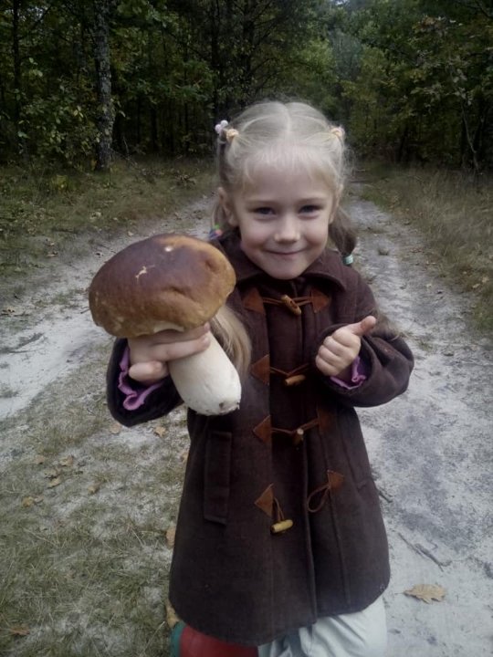 Волинська письменниця похизувалась грибним «уловом». ФОТО