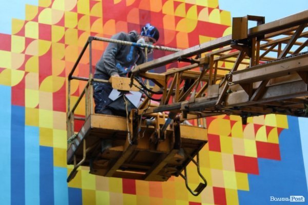 Сірі стіни луцьких будинків стали полотнами вуличних художників