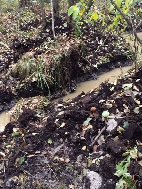 Волиняни продовжують активно займатися пошуками бурштину. ФОТО