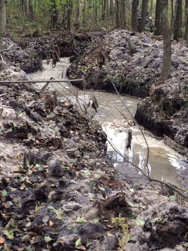 Волиняни продовжують активно займатися пошуками бурштину. ФОТО