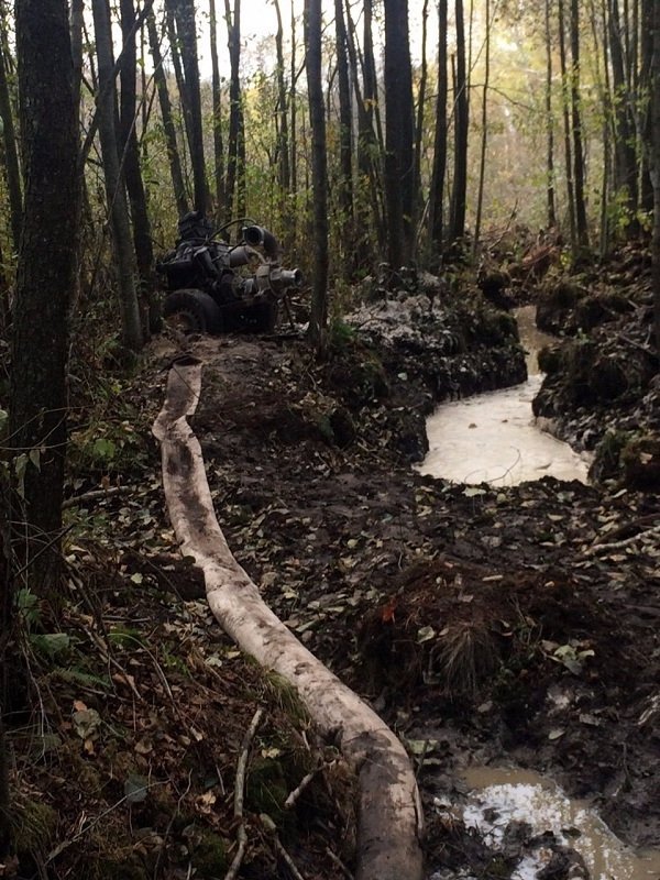 Волиняни продовжують активно займатися пошуками бурштину. ФОТО