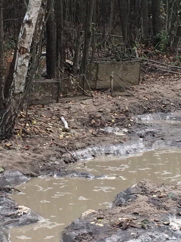 Волиняни продовжують активно займатися пошуками бурштину. ФОТО