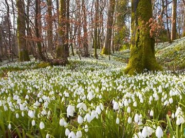 Погода в Луцьку та Волинській області на завтра, 21 березня