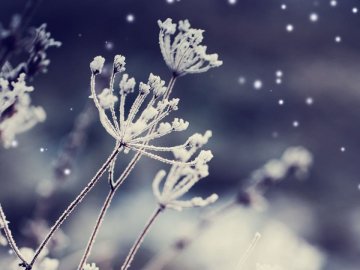 Погода в Луцьку та Волинській області на середу, 15 січня