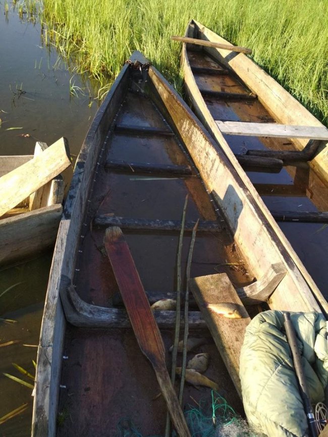 На волинському озері затримали браконьєра із сіткою. ФОТО
