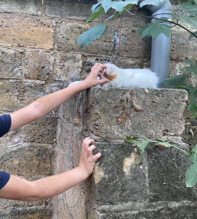 Спав на землі і грався з котом серед шприців: в Одесі хлопчик жив у парку. ФОТО