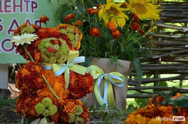 Луцький міський центр соціальних служб для сімї та молоді