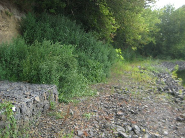 Готуються до весни: селяни укріпили береги Стиру. ФОТО