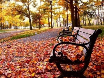 Погода в Луцьку та Волинській області на завтра, 16 листопада