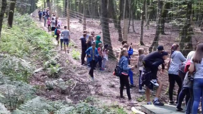 Діти з Луганщини побували у «Волинській Швейцарії». ФОТО