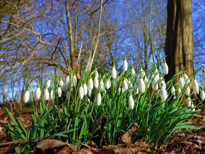 Якою буде погода у Луцьку та на Волині 1 березня
