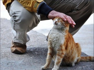 17 лютого – День спонтанного прояву доброти: традиції, прикмети і заборони у це свято 