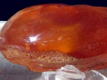 На Волині викопали шматок бурштину рекордного розміру