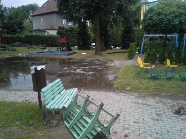 Буревій у Польщі повиривав із корінням дерева та вбив людину. ФОТО