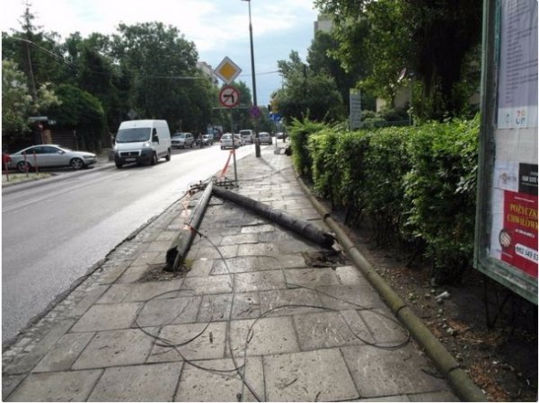 Буревій у Польщі повиривав із корінням дерева та вбив людину. ФОТО