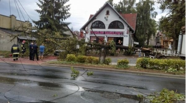 Буревій у Польщі повиривав із корінням дерева та вбив людину. ФОТО
