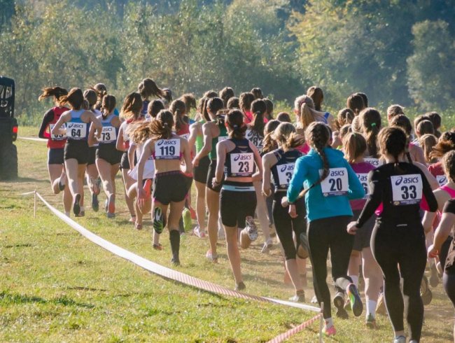 Волинські спортсмени вибороли низку нагород на чемпіонаті України з кросу