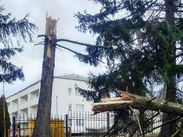 У Луцьку для усунення наслідків негоди створили мобільну бригаду