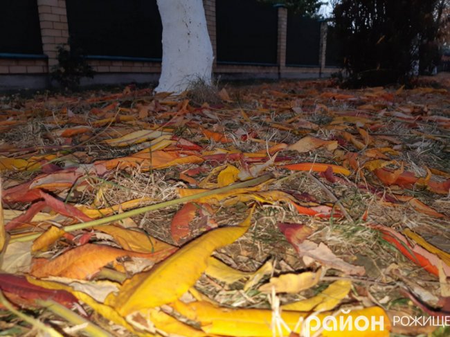 Місто на Волині восени: жовто-багряна краса. ФОТО