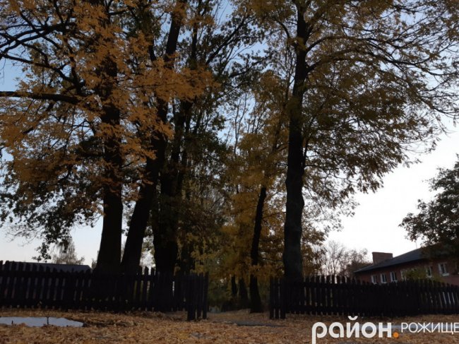 Місто на Волині восени: жовто-багряна краса. ФОТО