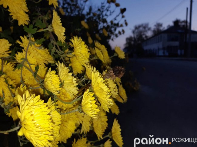 Місто на Волині восени: жовто-багряна краса. ФОТО