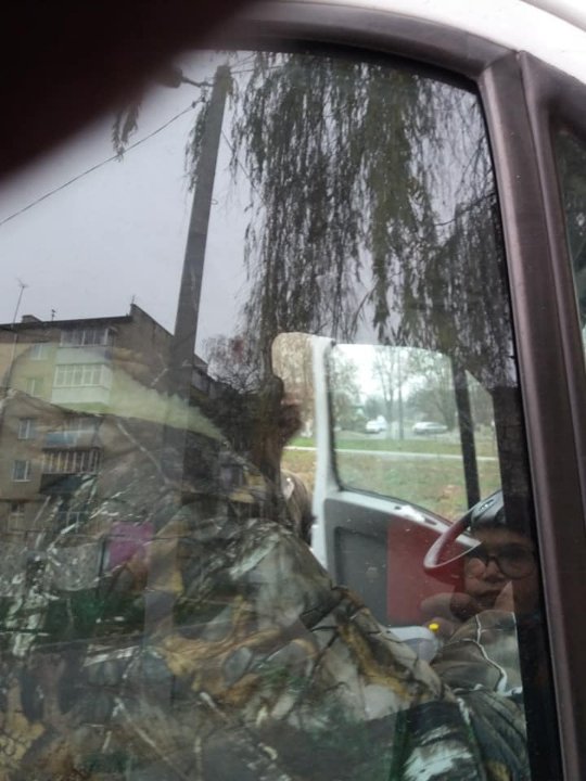 Працівники луцької «Ласки» під час відлову собак тикали дулі місцевим. ФОТО