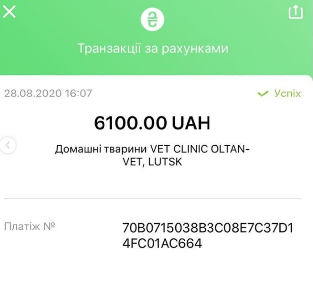 Небайдужі волиняни врятували пса, якого невідомі після наїзду залишили на дорозі. ФОТО
