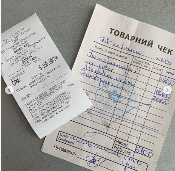 Небайдужі волиняни врятували пса, якого невідомі після наїзду залишили на дорозі. ФОТО