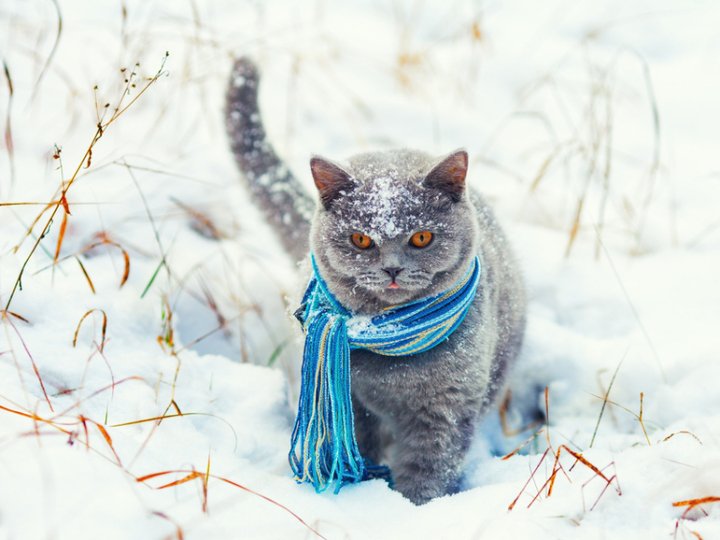 Погода в Луцьку та Волинській області на завтра, 6 квітня