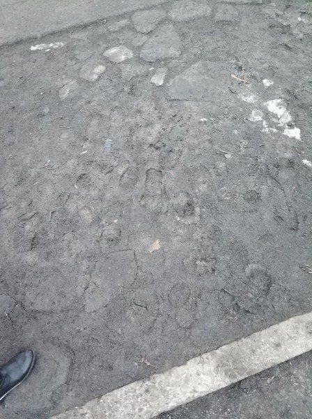 Біля луцької школи замість тротуарів – болото. ФОТО