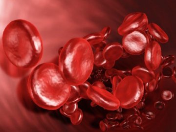 Всесвітній день боротьби з гемофілією: що варто знати про хворобу