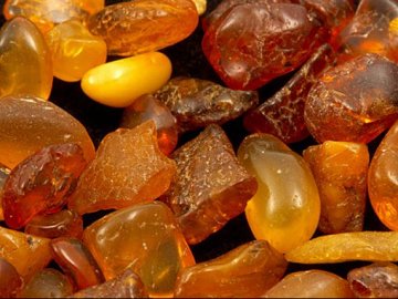 На аукціон виставили три бурштинові ділянки на Волині 