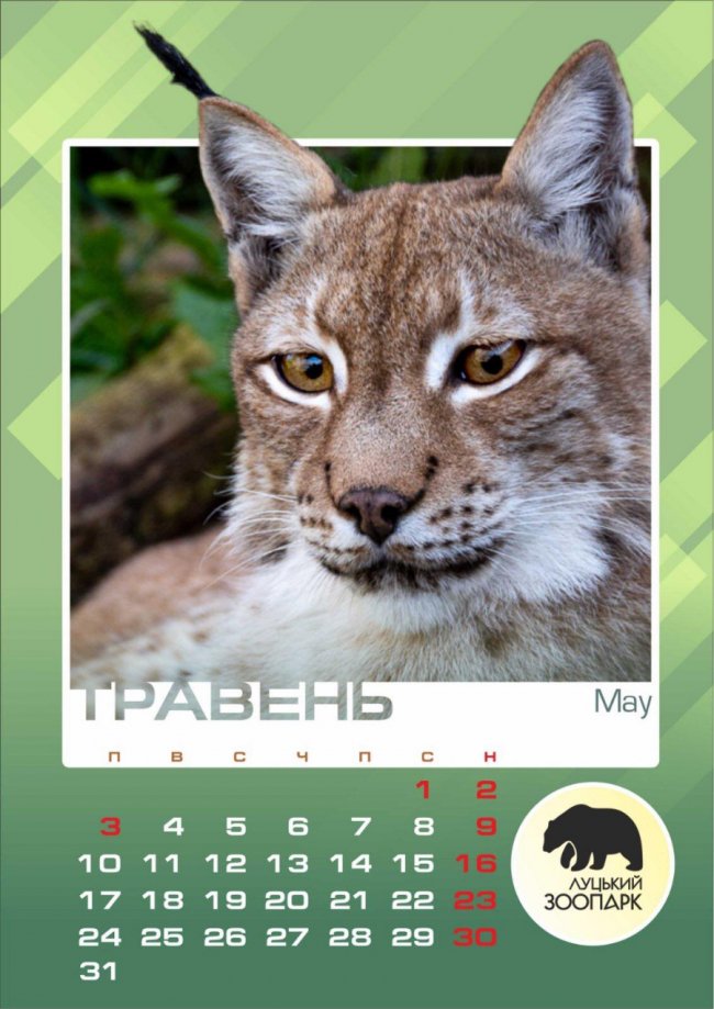 Луцький зоопарк видав календар із зображеннями його мешканців. ФОТО