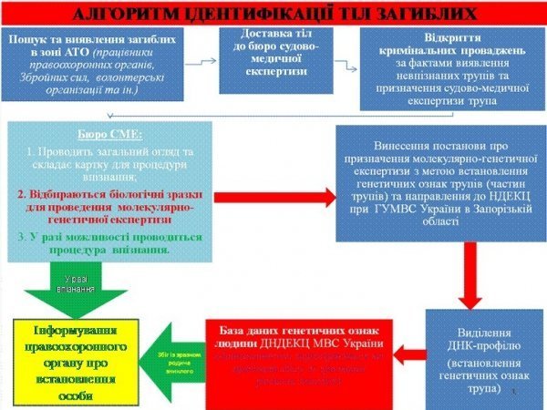 Як  МВС проводитиме ідентифікацію тіл загиблих в АТО