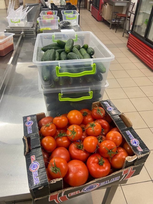 Крізь призму війни: добрі новини першого дня весни від ВолиньPost. ПІДБІРКА 