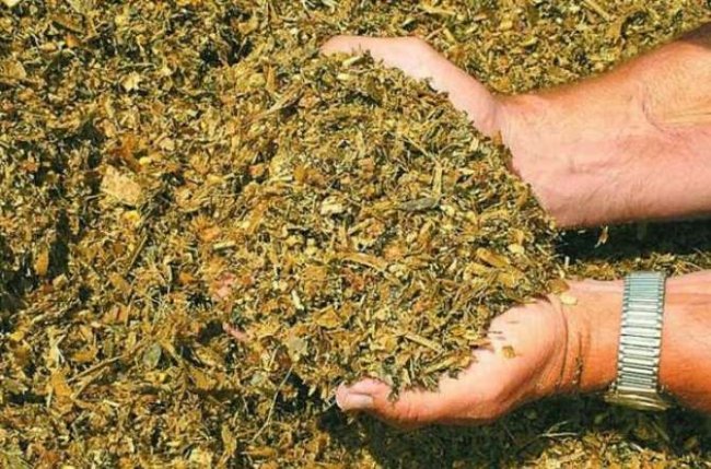 Вигоди від використання консервантів для силосування*