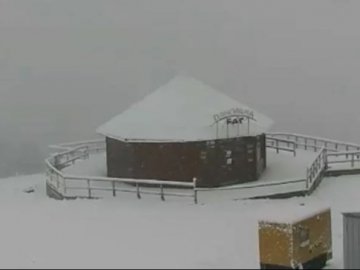 У Карпатах випав сніг. ФОТО