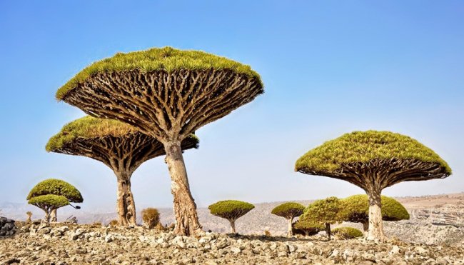 15 місць на Землі, які виглядають ніби краєвиди інших планет